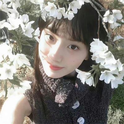 血与荣耀
